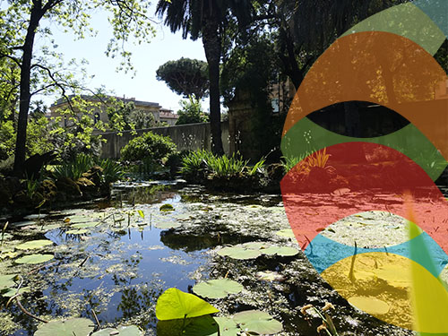 Jardín Botánico de Pisa